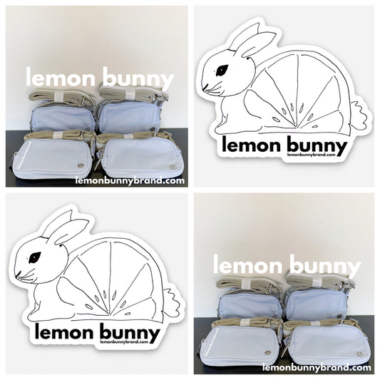 *lemon bunny Curated Bundle: 8 lululemon Everywhere Crossbody Bags in Pastel Blue/Raw Linen