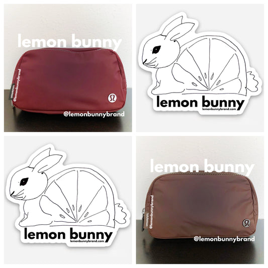 *lemon bunny Curated Bundle: 2 lululemon Everywhere Belt Bags in Red Merlot & Java
