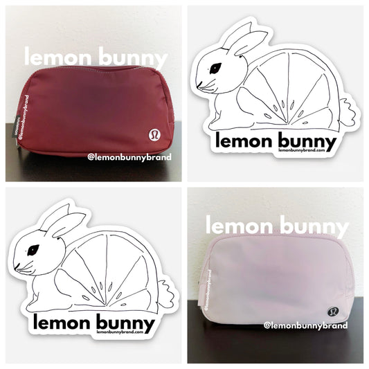 *lemon bunny Curated Bundle: 2 lululemon Everywhere Belt Bags in Red Merlot & Flush Pink