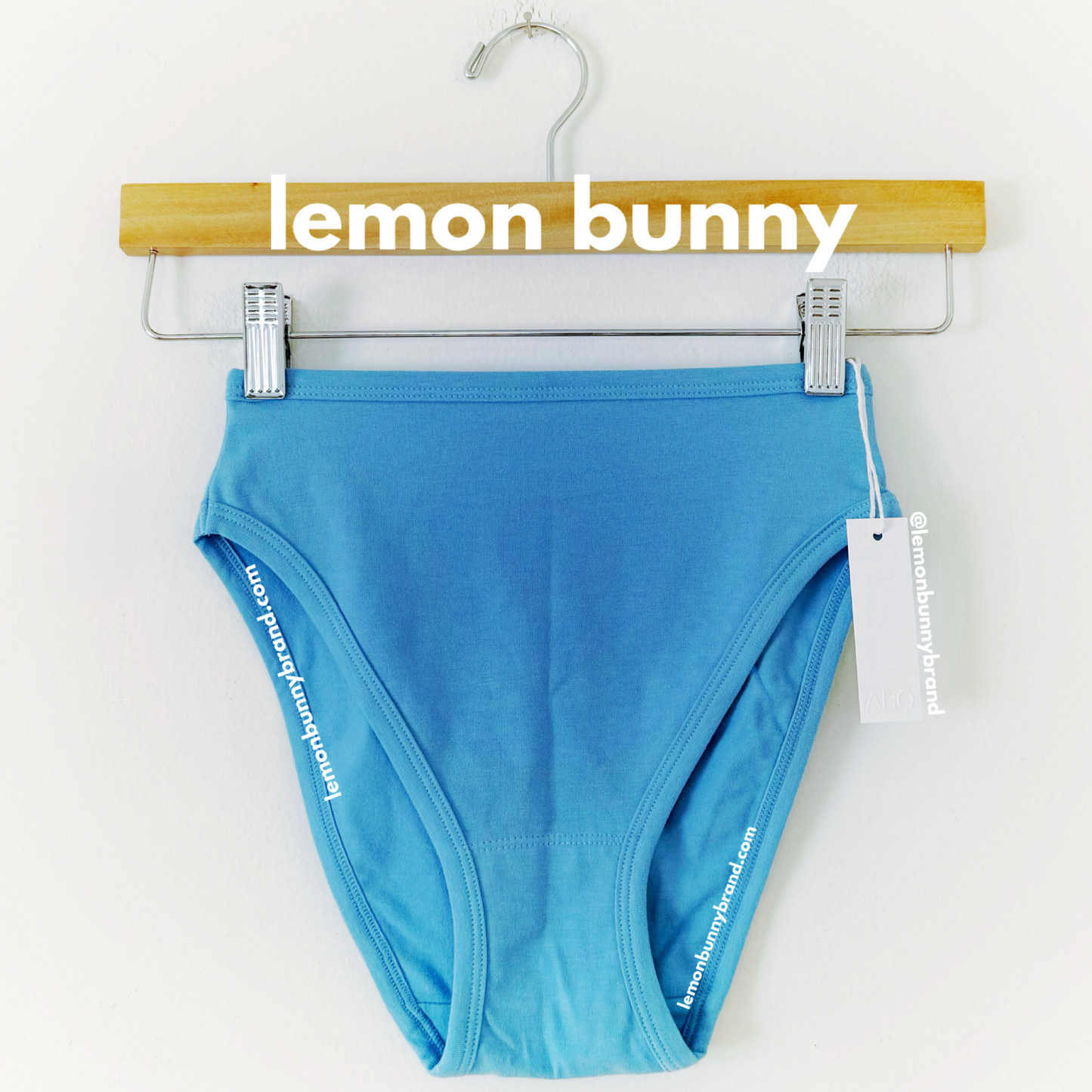 ARQ Crop Tank & Misha Undies Bundle in Cornflower, Size XXS & XS