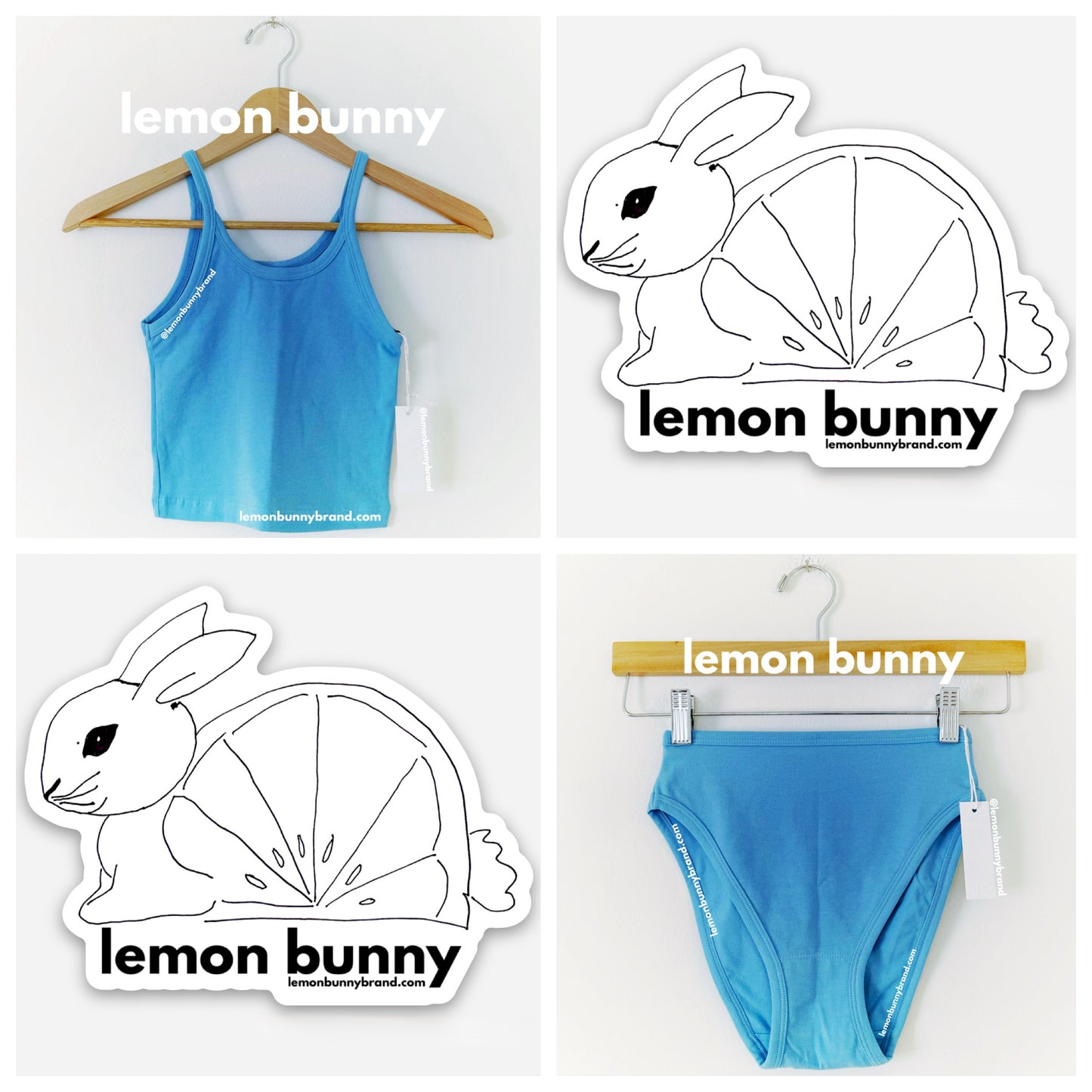 ARQ Crop Tank & Misha Undies Bundle in Cornflower, Size XXS & XS