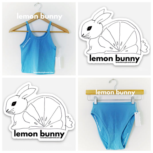ARQ Crop Tank & Misha Undies Bundle in Cornflower, Size XXS & XS