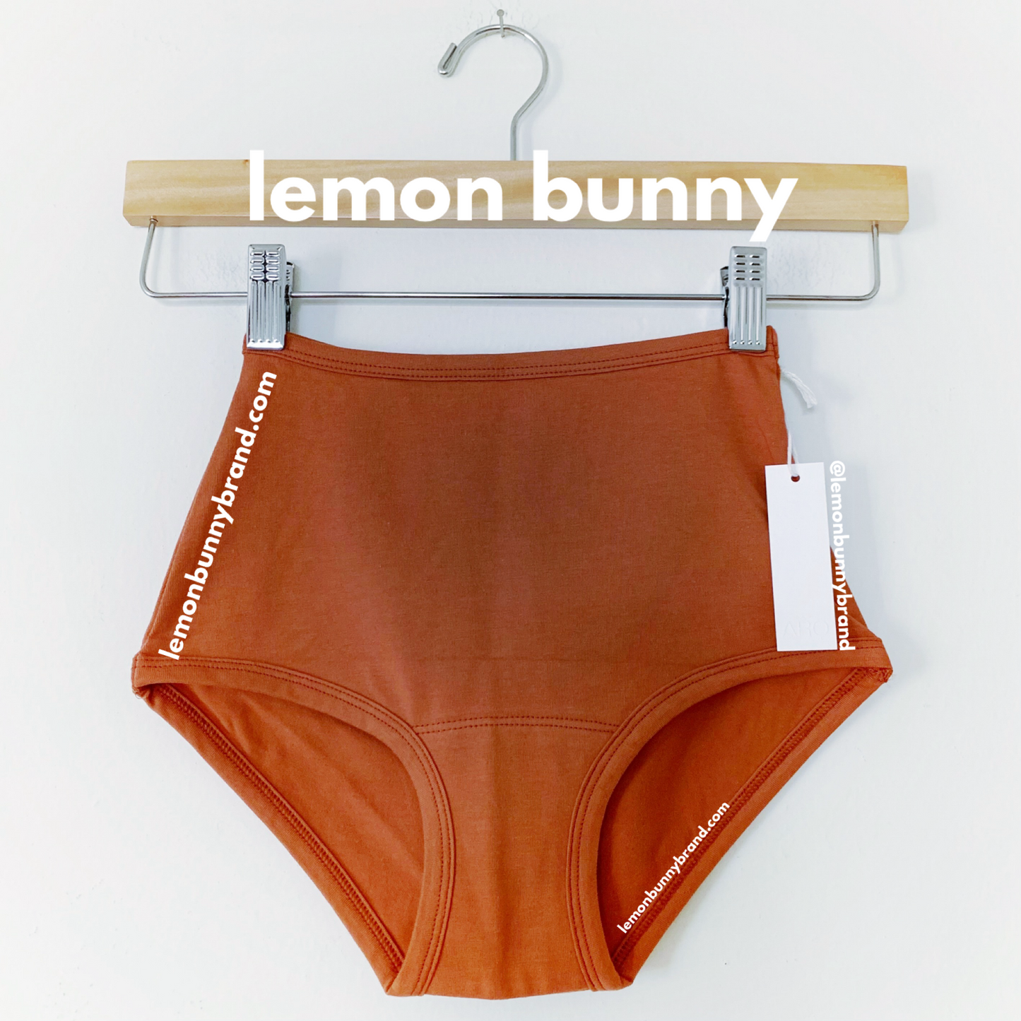 ARQ High Rise Undies in Rust, Size XXS