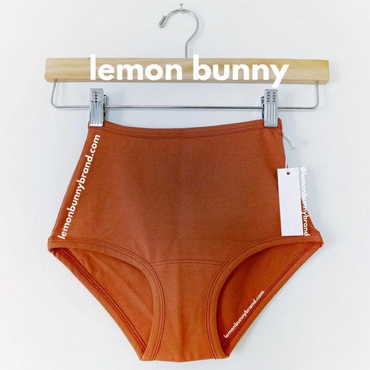 ARQ High Rise Undies in Rust, Size XXS