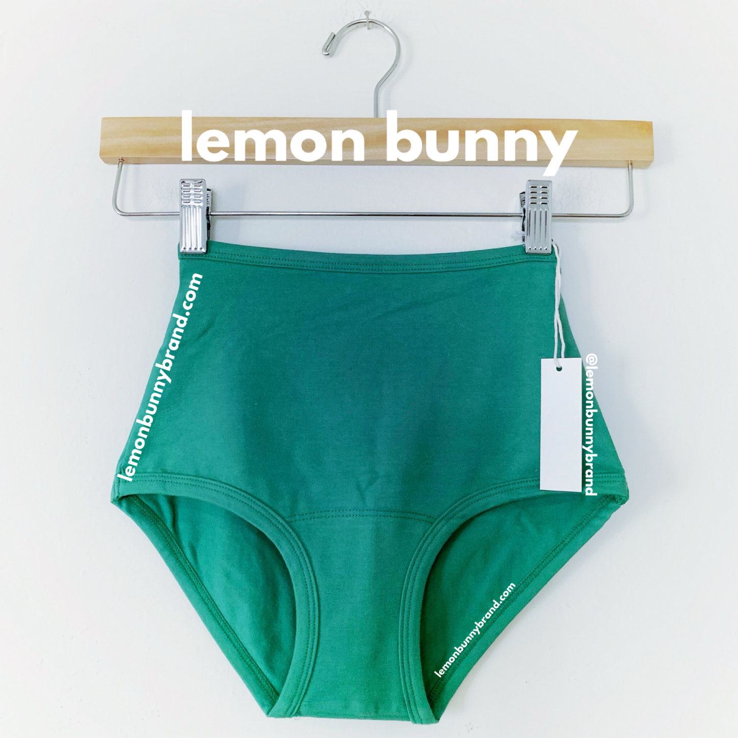 ARQ High Rise Undies in Verdant, Size XXS