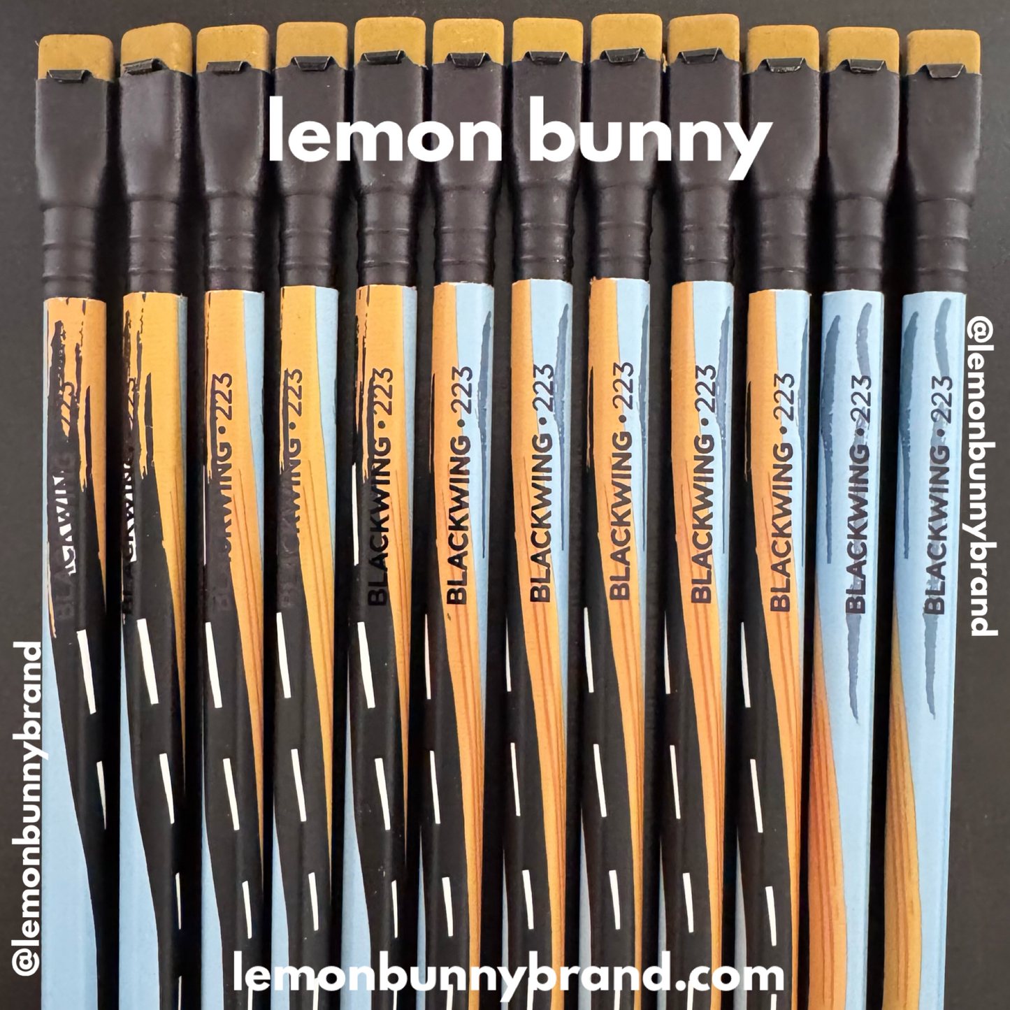 Blackwing Volume 223 The Woody Guthrie Pencils