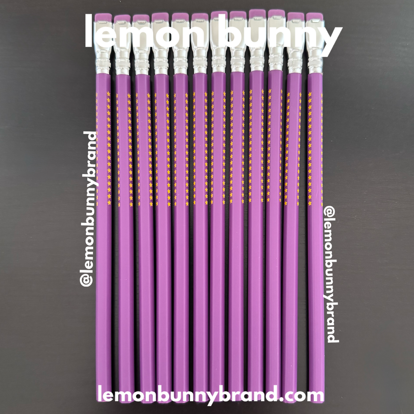 Blackwing Volume XIX The 19th Amendment Pencils