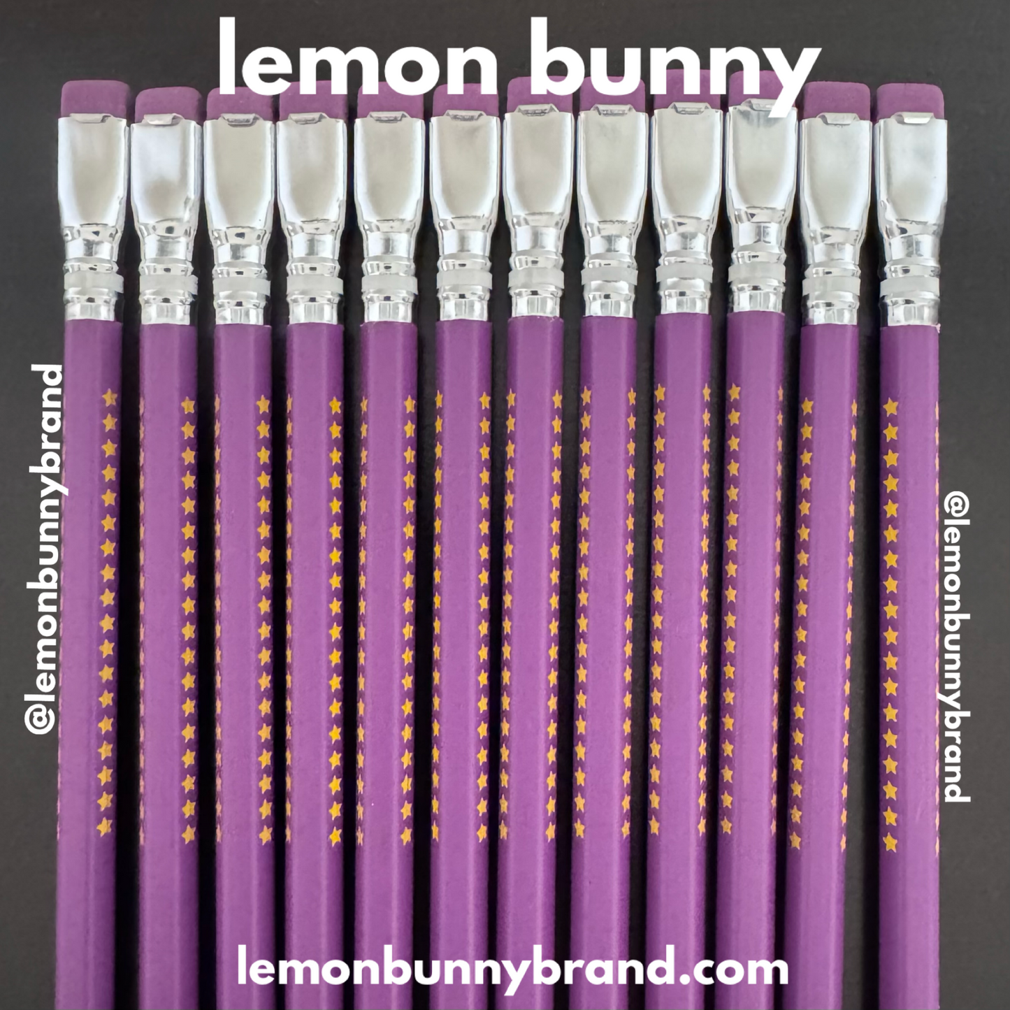 Blackwing Volume XIX The 19th Amendment Pencils