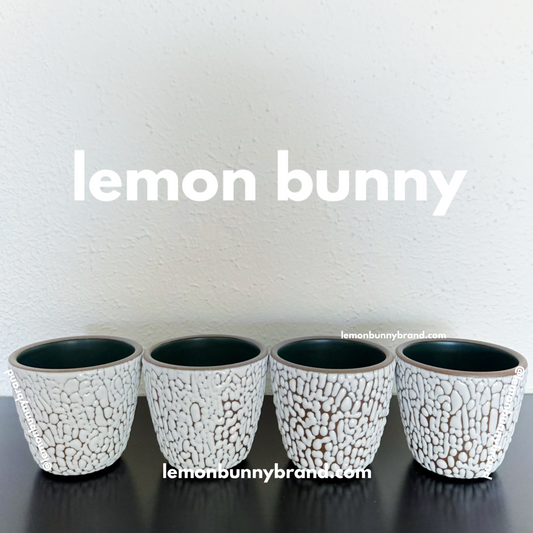East Fork Set of 4 Kulhads in Crawl Glaze