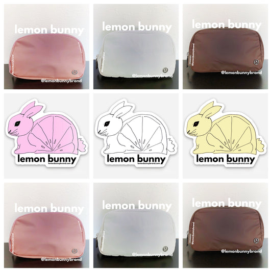 *lemon bunny Curated Bundle: 6 lululemon Everywhere Belt Bags in Neapolitan Ice Cream Social