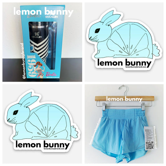 *lemon bunny Curated Bundle: Stanley Quencher & lululemon Hotty Hot Short in 1959 Blue Chill, Size 0