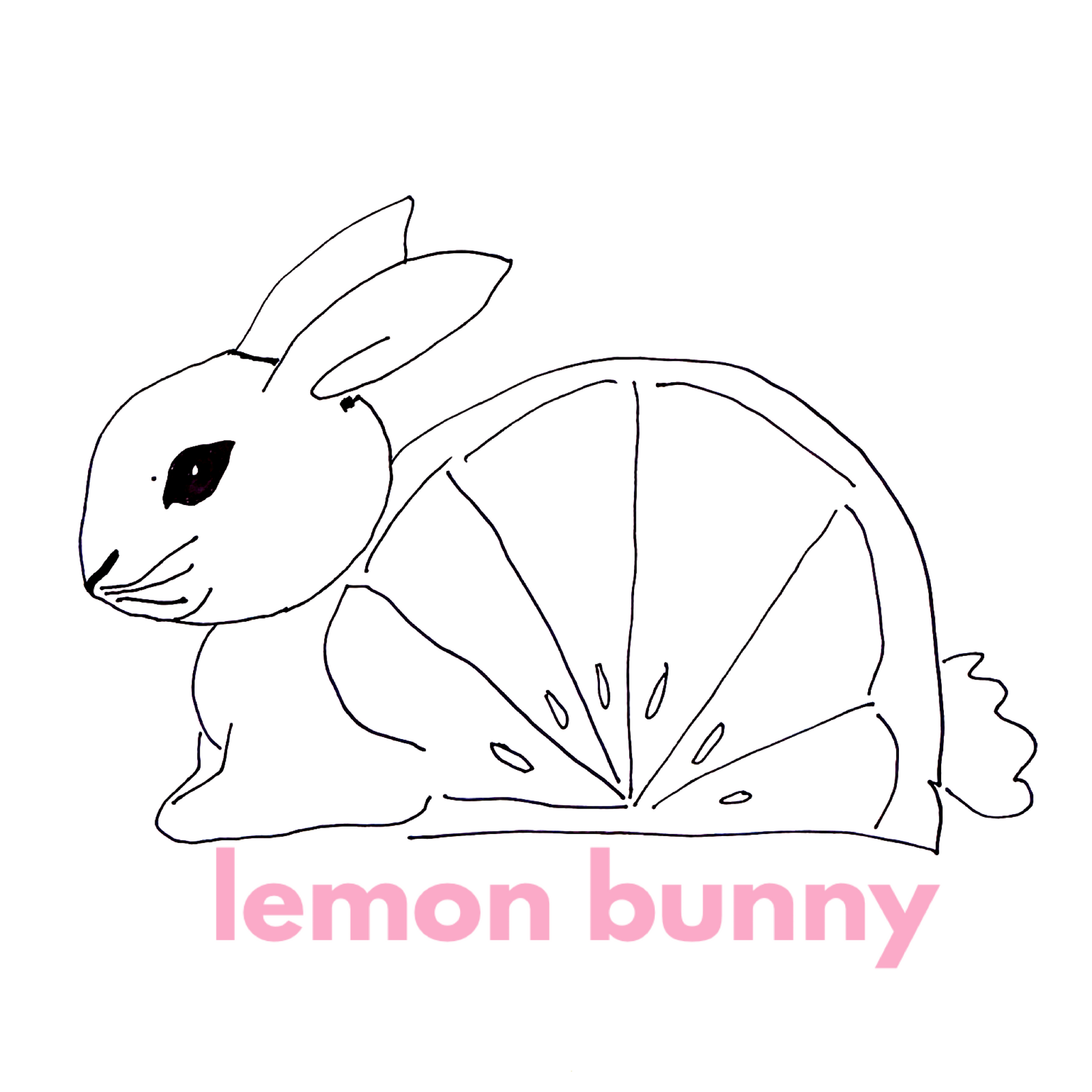 lululemon Everywhere Belt Bag (1 L) in Brier Rose, One Size – lemon bunny lululemon Everywhere Belt Bag (1 L) in Brier Rose, One Size – lemon bunny
