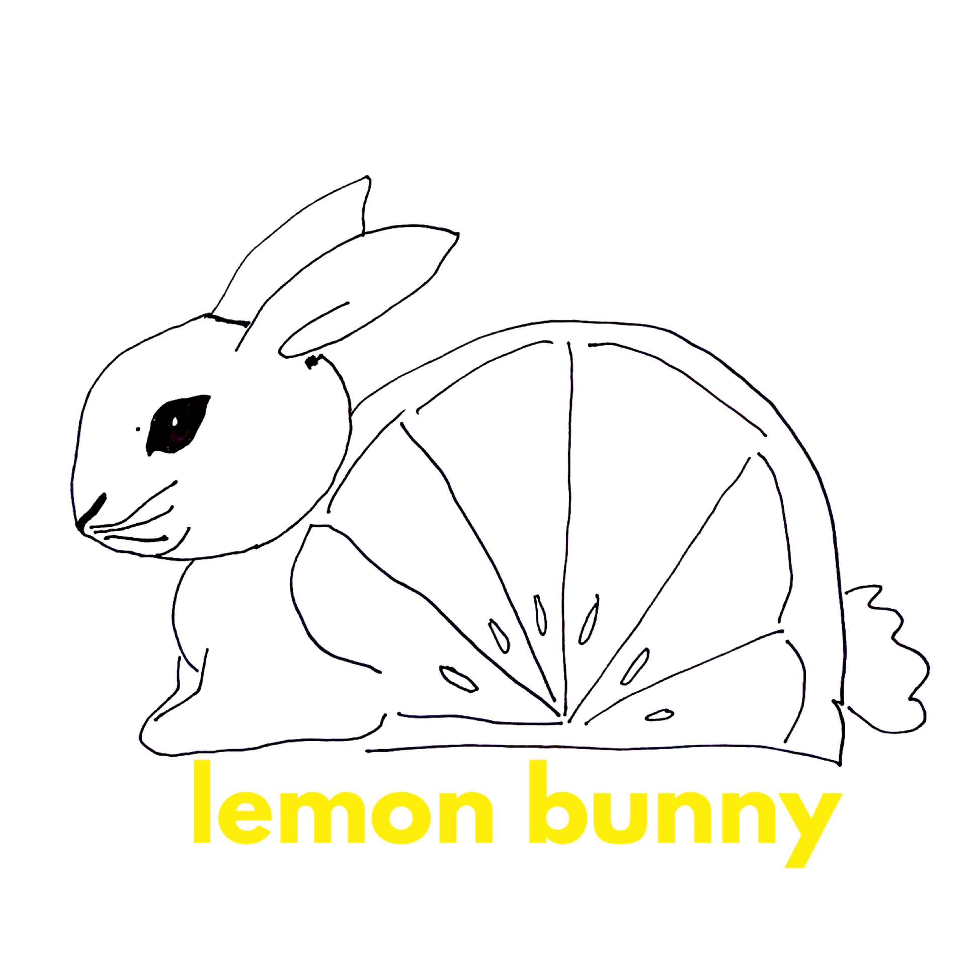 lululemon Everywhere Belt Bag (1 L) in Black/Gold, One Size – lemon bunny lululemon Everywhere Belt Bag (1 L) in Black/Gold, One Size – lemon bunny