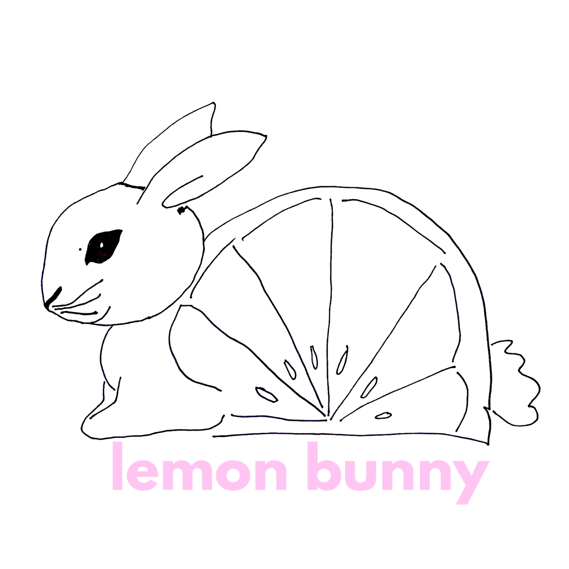 lululemon Everywhere Belt Bag (1 L) in Flush Pink, One Size – lemon bunny