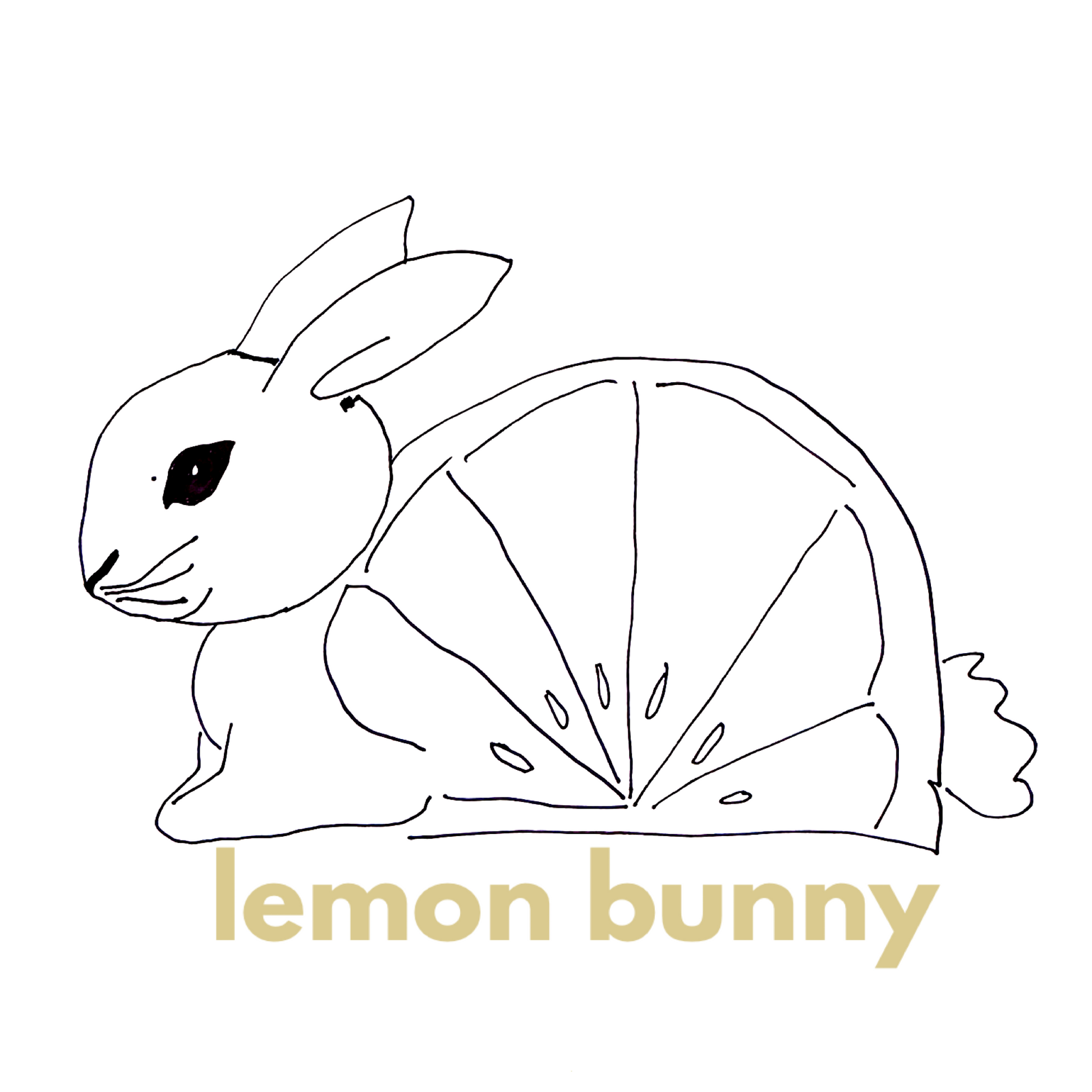 lululemon Everywhere Belt Bag *Canvas (1 L) in Artifact, One Size – lemon bunny lululemon Everywhere Belt Bag *Canvas (1 L) in Artifact, One Size – lemon bunny